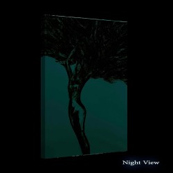 Arbre de Femme Coloré, Tableau Abstrait Moderne - Image sur Toile 60 x 90  cm