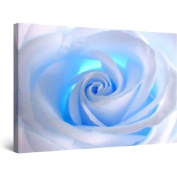Rose - Decoration Murale Salon Moderne - Image sur Toile - 60 x 90 cm