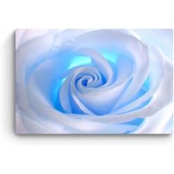 Rose - Decoration Murale Salon Moderne - Image sur Toile