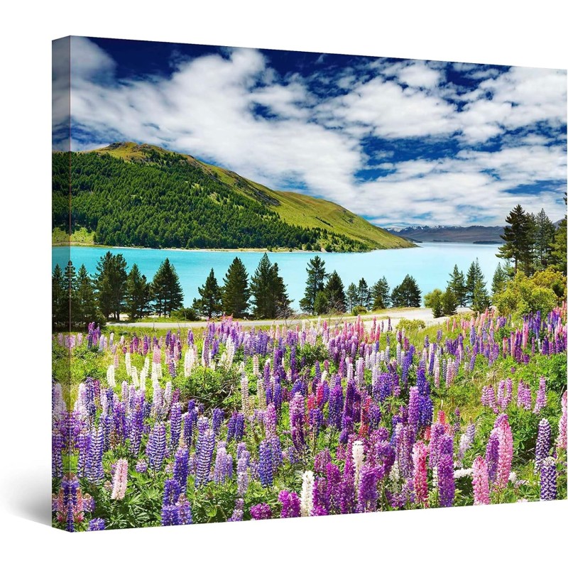 Tapis de Fleurs Lac, Tableau Paysage Decoration Murale Salon Moderne - Image sur Toile