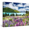 Tapis de Fleurs Lac, Tableau Paysage Decoration Murale Salon Moderne - Image sur Toile