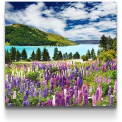 Tapis de Fleurs Lac, Tableau Paysage Decoration Murale Salon Moderne - Image sur Toile