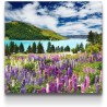 Tapis de Fleurs Lac, Tableau Paysage Decoration Murale Salon Moderne - Image sur Toile