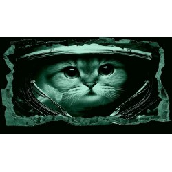 3D Chat D'astronaute, Décoration Murale Photo sur le mur Grand Format XXL Motif Moderne Déco d'Art Murale