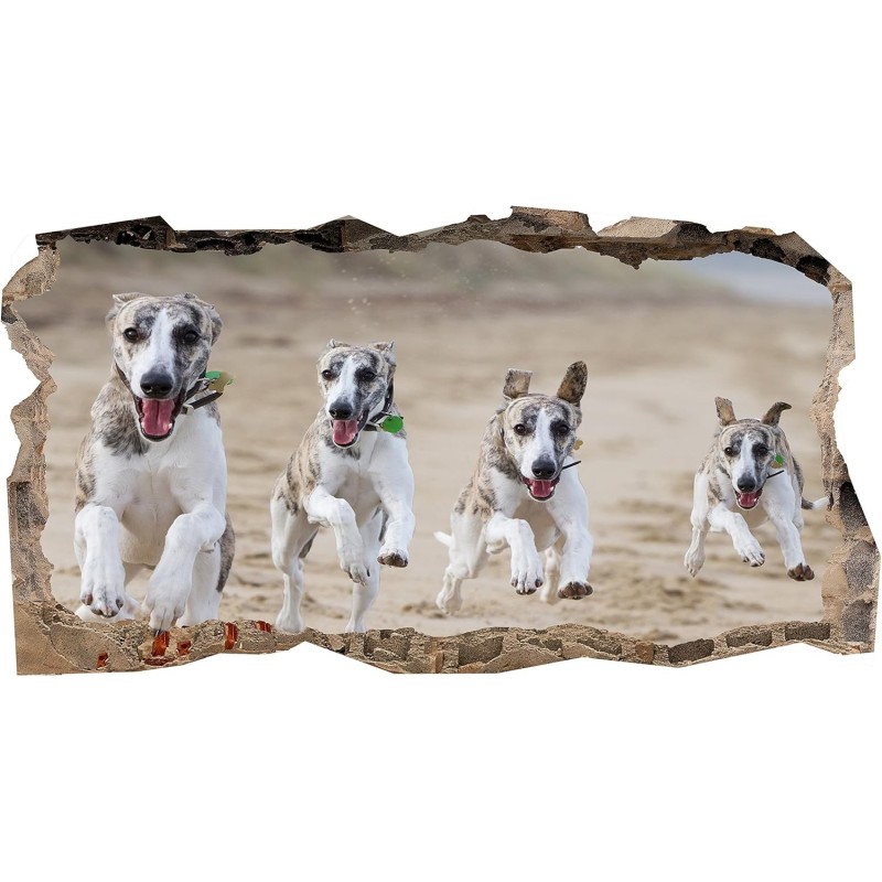 Chiens, Décoration Murale Photo sur le mur Grand Format XXL Motif Moderne Déco d'Art Murale