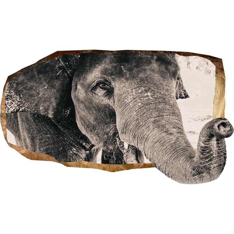 Éléphant, Décoration Murale Photo sur le mur Grand Format XXL Motif Moderne Déco d'Art Murale 82 x 150 CM