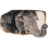 Éléphant, Décoration Murale Photo sur le mur Grand Format XXL Motif Moderne Déco d'Art Murale 82 x 150 CM