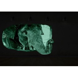 Éléphant, Décoration Murale Photo sur le mur Grand Format XXL Motif Moderne Déco d'Art Murale 82 x 150 CM