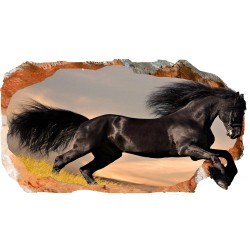 Cheval Noir, Décoration Murale Photo sur le mur Grand Format XXL Motif Moderne Déco d'Art Murale