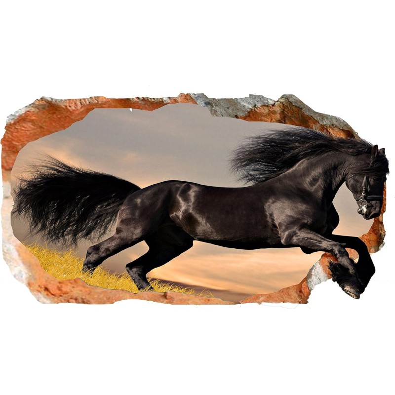 Cheval Noir, Décoration Murale Photo sur le mur Grand Format XXL Motif Moderne Déco d'Art Murale