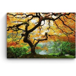 Toile Arbre d'érable, Tableau Nature- Decoration Murale Salon Moderne - Image sur Toile - Grande 80 x 120 cm