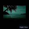 Startonight Impression Sur Verre Acrylique Tableau - Plage Pourpre avec Palmiers 60 x 90 cm