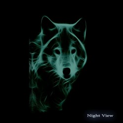 Decoration Murale Salon Moderne - Image sur Toile - 60 x 90 cm Idée Cadeau Élégante et Originale Effet Lumineux Nocturne