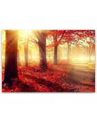 Nature – Tableau Plexiglass paysages modernes | Soluna Art Suisse